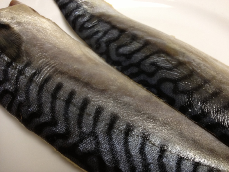 The markings of the Atlantic mackerel (Scomber scombrus). (Image Credit: Ben Young Landis/CC-BY)