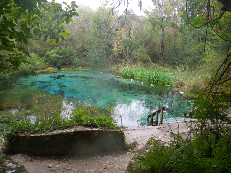 The Head Spring of the Ichetucknee River, in Florida, USA. (Image Credit: Ben Young Landis/CC-BY)
